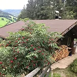 Wasserfallhuette Saalbach